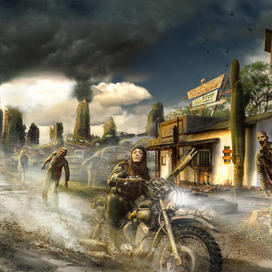 Days Gone