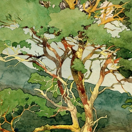 «Старая сосна»