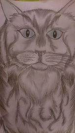 Рисунки карандашом