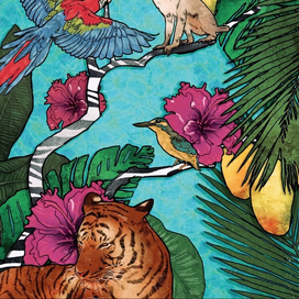 Обложка для летнего выпуска журнала Province Life