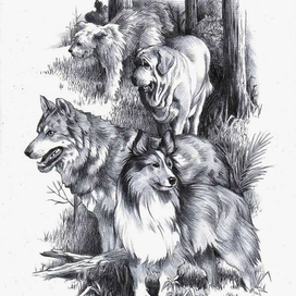 Молниеносный. 9-2