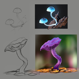 Наброски грибы 