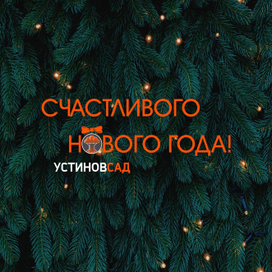 "УстиновСад" иллюстрация для соцсетей