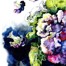 грустная капуста