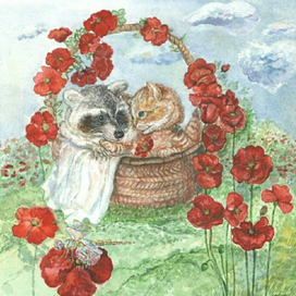 енотик и котенок