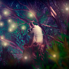 Маленький дракончик