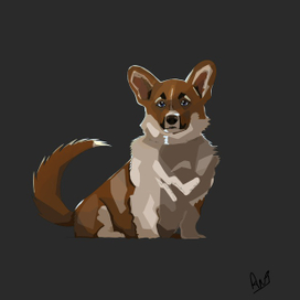 Корги Шелби