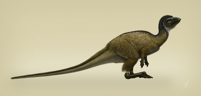 Kulindadromeus