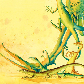 Ящерки - трансформеры