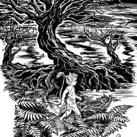 Анчутка. На болоте.