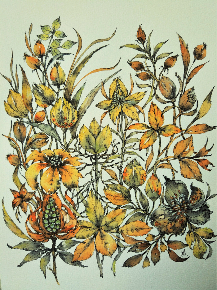 Осеннее цветение трав.