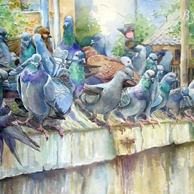 Голуби 