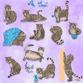 Разработка персонажа, кот