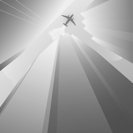 the plane