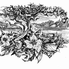 Рассветная песня