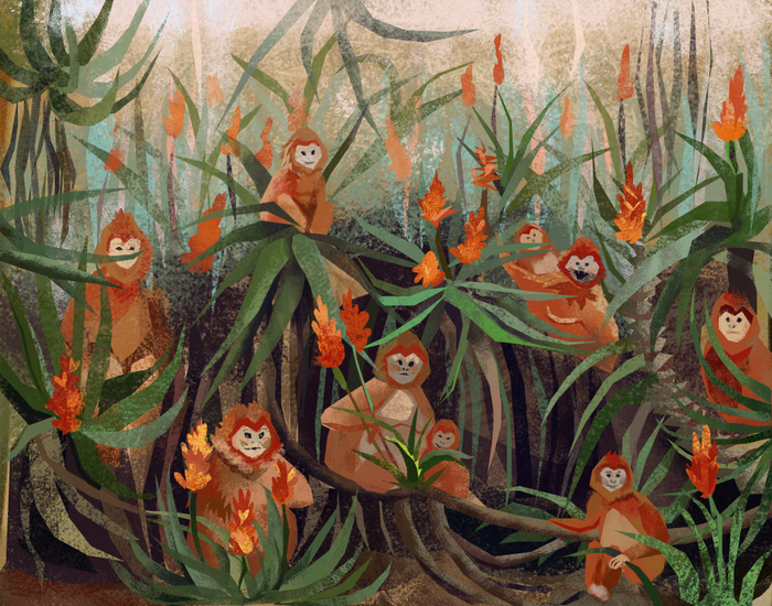 Рыжее семейство