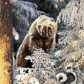 Медведь в окладе