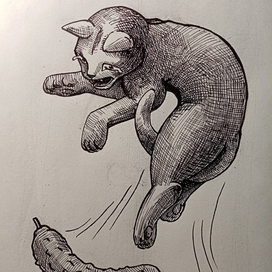 Кот и огурец