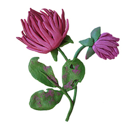 заставки к детским книжкам