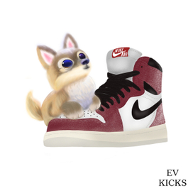 Кроссовки nike