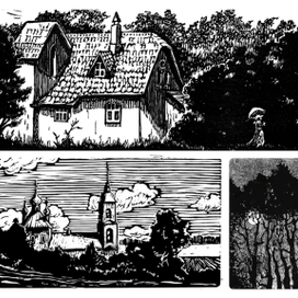 Поленово; Село Шубино; Летняя ночь