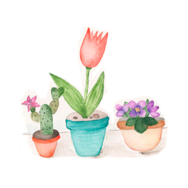 цветы на поддоконнике в горшках