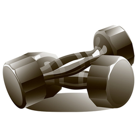 Вектор, иллюстрация