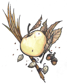 Яблоко из старого сада