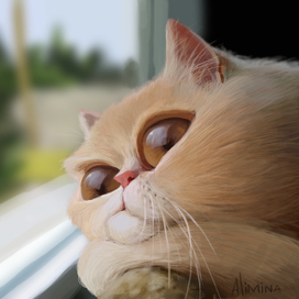 Грустный кот