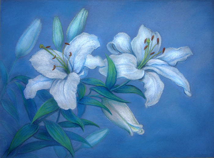 Ветка лилии