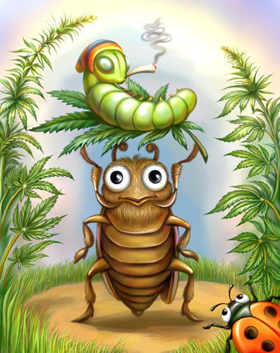 marijuana bug
