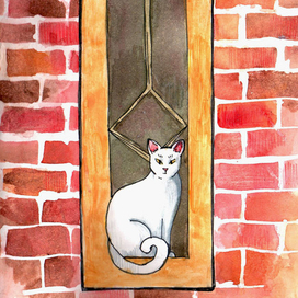 Кошка на окне