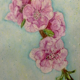 Ветка сакуры