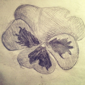 Милый цветок