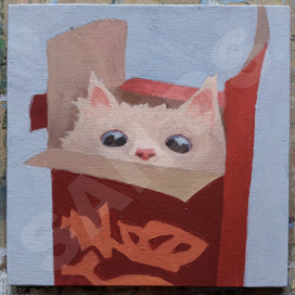 Кот в коробке.