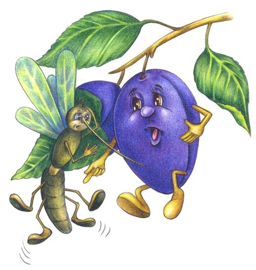 Слива и комар