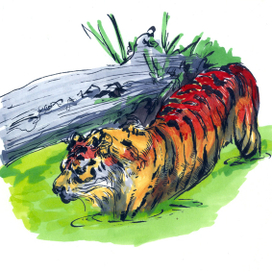 Индийская серия