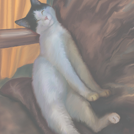 Цветные сны