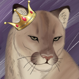 Puma and crown🌟