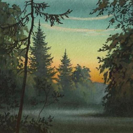 Сумерки в лесу