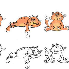 зарисовка-коты