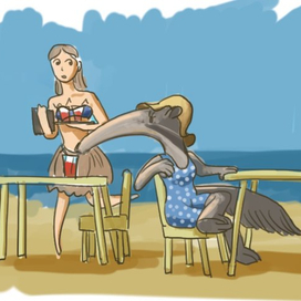 Жизнь девушки-муравьеда