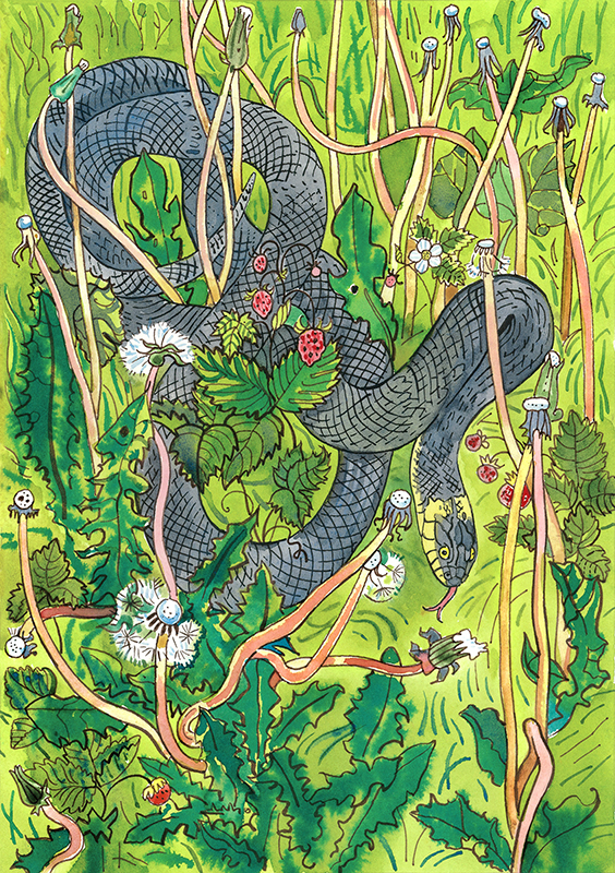 Опасное лето