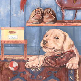 Любопытный щенок 