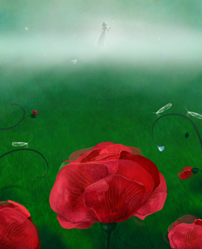 для книги Андрея Кутерницкого "Тайна розы рассвета"