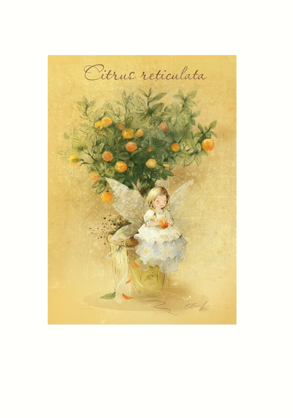 Мандаринка