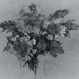 зарисовка букета