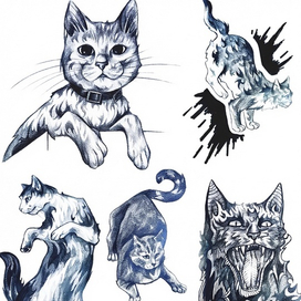Graphic cats