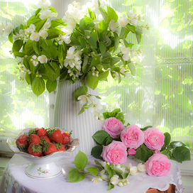 Жасмин и клубника