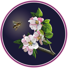 чудеса природы